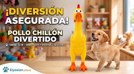 Pollo Grande Chillón Para Mascota
