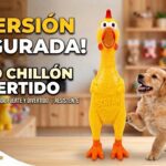 Pollo Chico Chillón Para Mascota